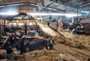 Feira tem entrada gratuita e ocorre de 13 a 17 de maio em Esteio