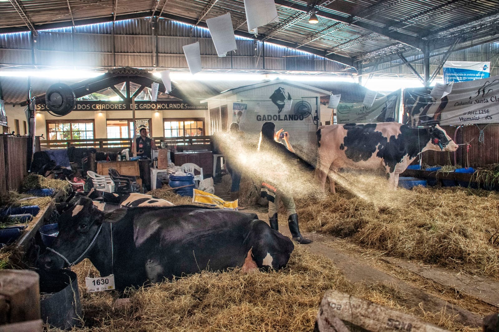 Feira tem entrada gratuita e ocorre de 13 a 17 de maio em Esteio