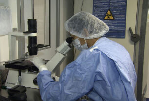 Avanços na ciência: novos casos de remissão do HIV após transplante de células-tronco