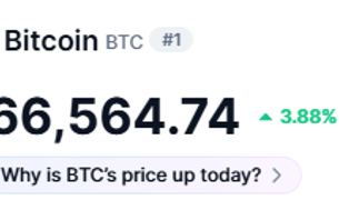 Bitcoin volta aos US$ 66 mil e reacende debate sobre novas oportunidades no mercado cripto