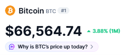 Bitcoin volta aos US$ 66 mil e reacende debate sobre novas oportunidades no mercado cripto
