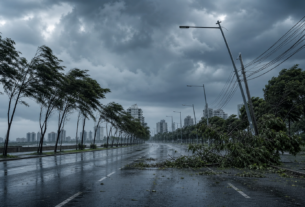 Cidades brasileiras enfrentam desafio de resiliência após ventanias extremas no Sudeste e Sul