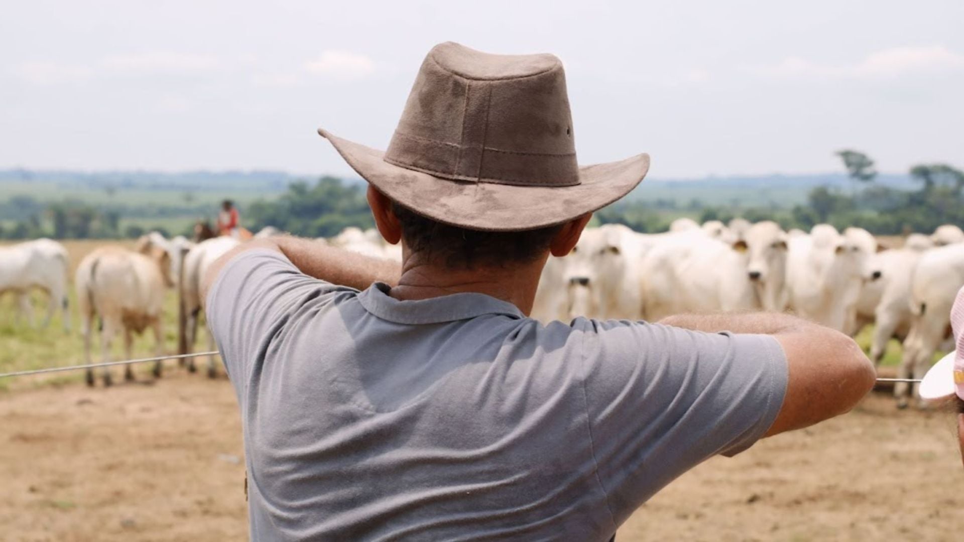 Descompasso entre campo e cidade revela percepção negativa de produtores rurais