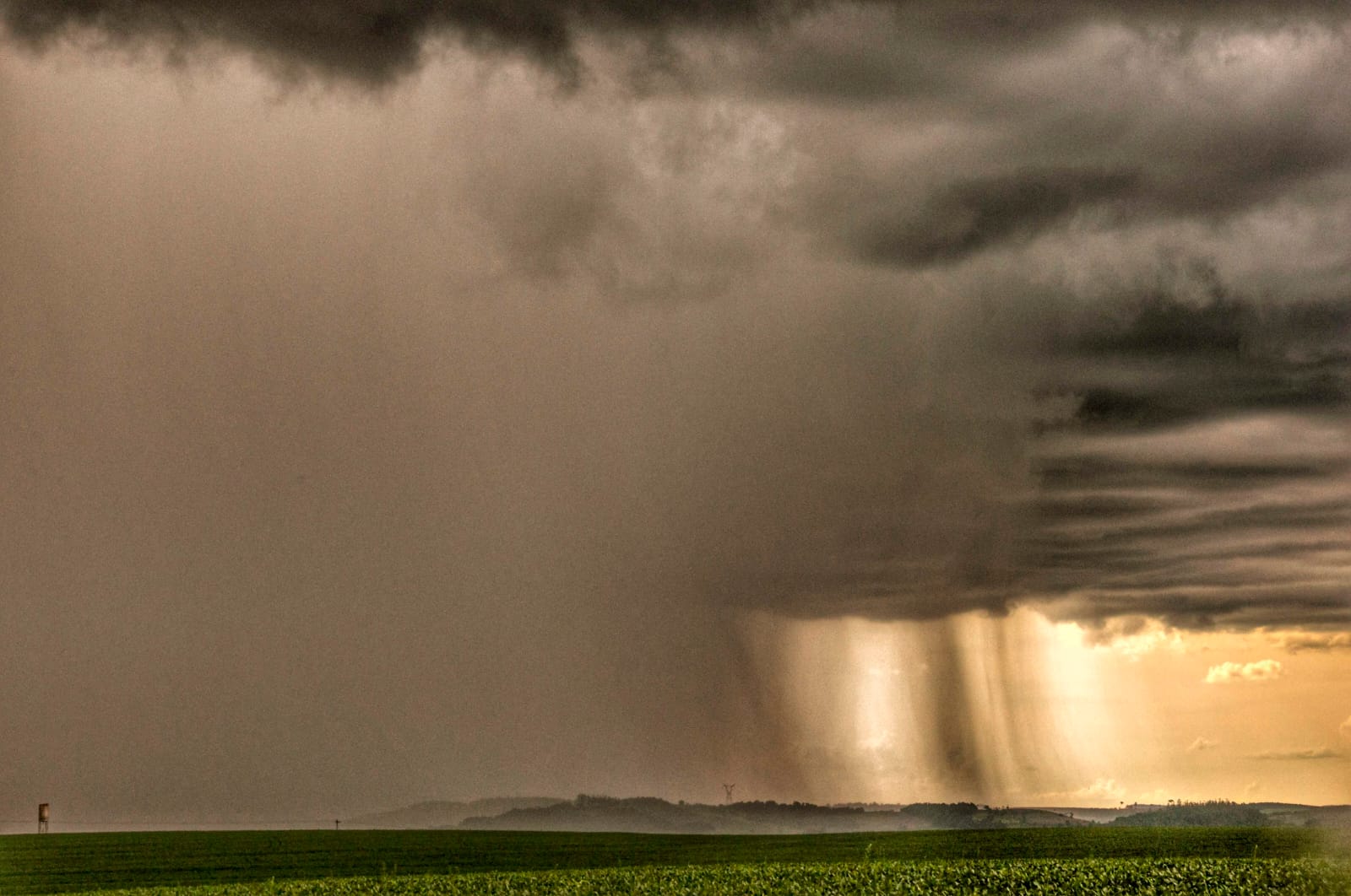Excesso de chuvas no Rio Grande do Sul acende alerta para lavouras de inverno