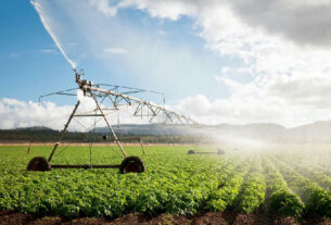 Fiagros: como investir no agronegócio brasileiro sem precisar lidar com a terra