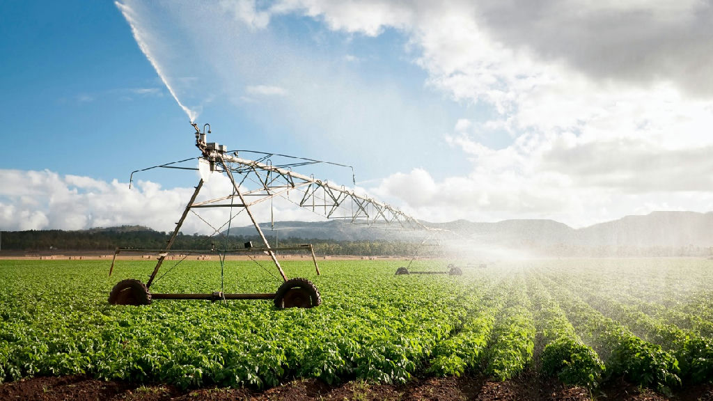 Fiagros: como investir no agronegócio brasileiro sem precisar lidar com a terra