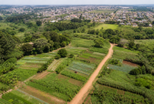 Governo federal oficializa reforma agrária na Fazenda Itahyê em São Paulo