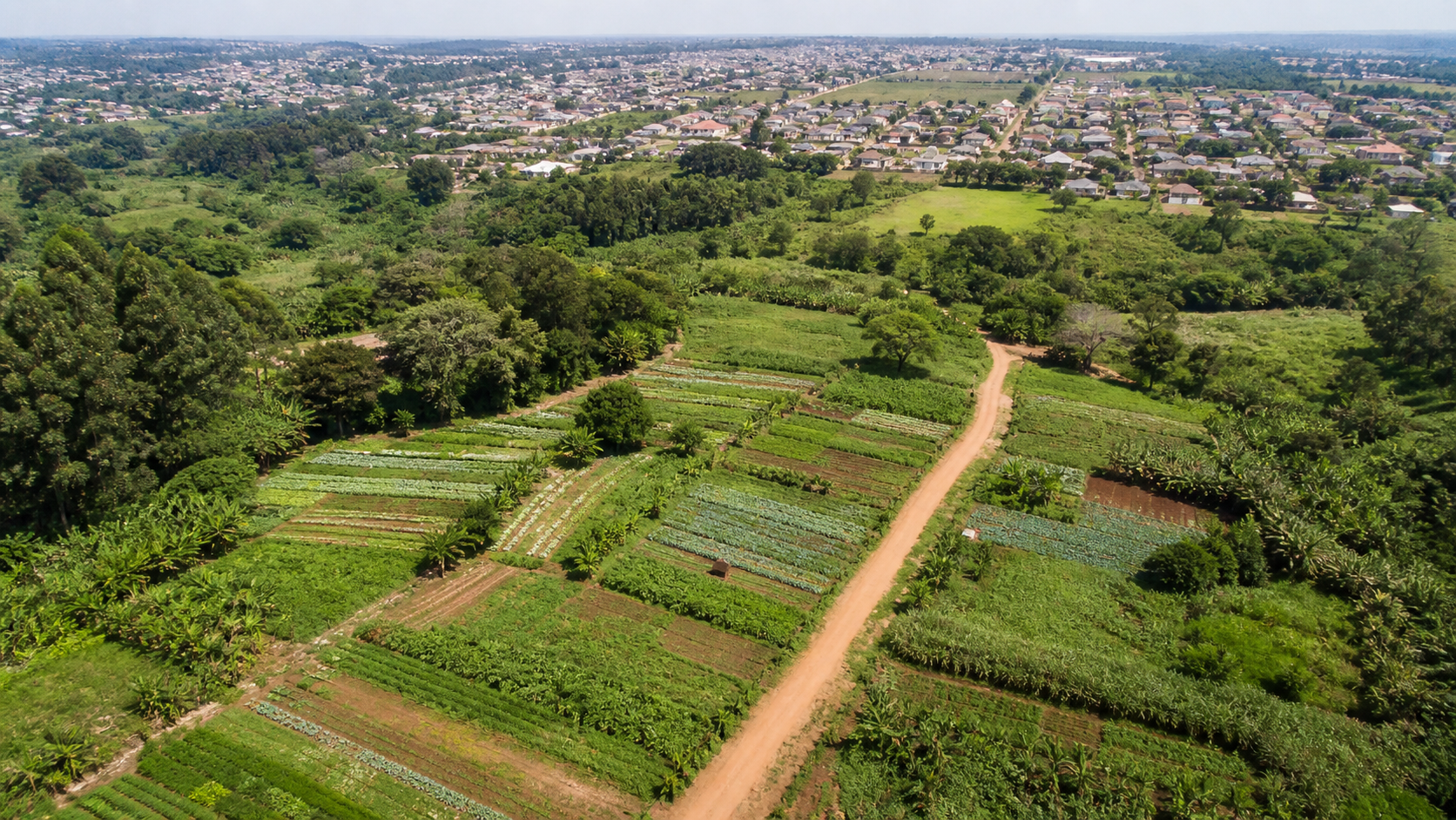 Governo federal oficializa reforma agrária na Fazenda Itahyê em São Paulo