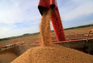 Governo edita medida provisória para renegociar até R$ 100 bilhões em dívidas rurais