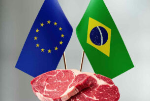 Veto da União Europeia à carne brasileira coloca em xeque o uso de antibióticos na pecuária
