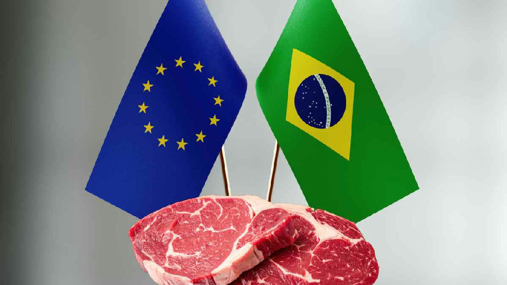 Veto da União Europeia à carne brasileira coloca em xeque o uso de antibióticos na pecuária