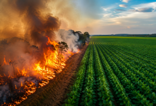 Sojicultores intensificam estratégias de prevenção contra incêndios nas lavouras