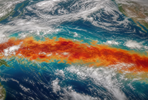 El Niño exige planejamento antecipado na formação de pastagens para evitar prejuízos