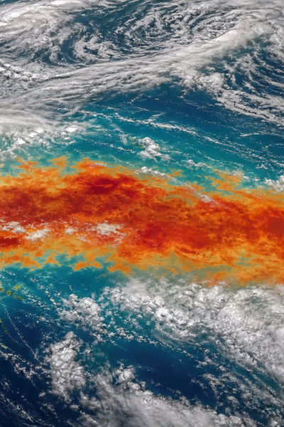 El Niño exige planejamento antecipado na formação de pastagens para evitar prejuízos