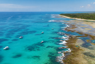 Poluição sonora de barcos e turistas altera comunicação de peixes em recifes