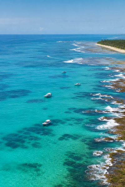 Poluição sonora de barcos e turistas altera comunicação de peixes em recifes