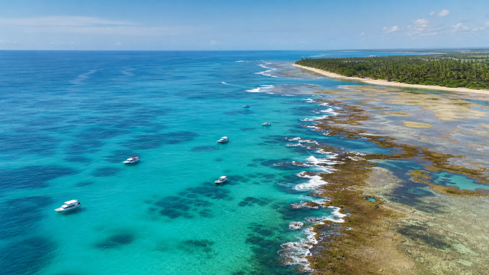 Poluição sonora de barcos e turistas altera comunicação de peixes em recifes