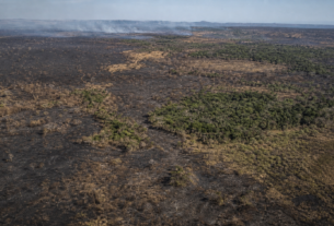 Queimadas no Brasil recuam 31% em 2025 e atingem menor marca na Amazônia em quatro décadas