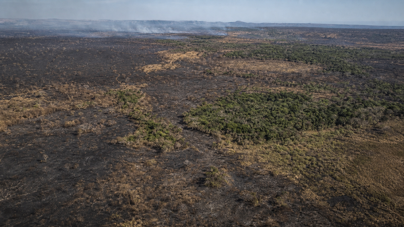 Queimadas no Brasil recuam 31% em 2025 e atingem menor marca na Amazônia em quatro décadas