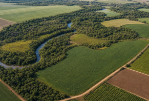 Câmara avança com novas regras para uso do solo e fiscalização ambiental