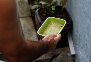 El Niño eleva risco de surtos de dengue e chikungunya no Brasil