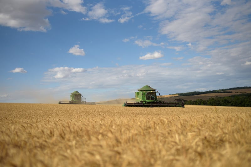 Mercado internacional de trigo reage a tensões globais e clima adverso