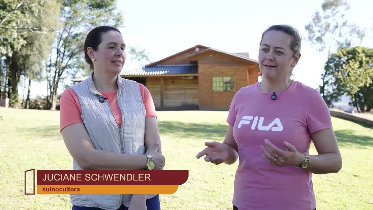 Suinocultura ganha força com a liderança feminina na sucessão familiar