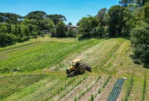 Agricultura regenerativa reduz custos, protege a produção e atrai bilhões em investimentos no Brasil