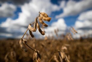 Agronegócio brasileiro registra queda de 2% no PIB do primeiro trimestre de 2026
