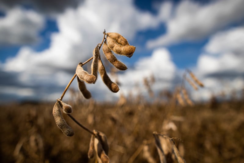 Agronegócio brasileiro registra queda de 2% no PIB do primeiro trimestre de 2026