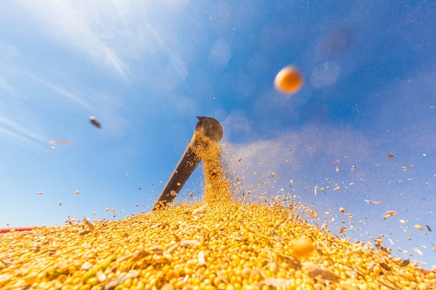 Alta no preço da soja em Mato Grosso comprime margens da indústria de esmagamento
