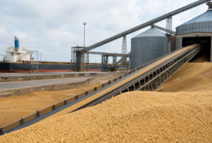 China fecha compra de 132 mil toneladas de soja dos Estados Unidos