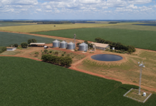 CNA aponta tecnologia e crédito como pilares para resiliência do agro frente ao clima