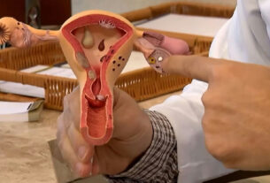 Cnpq abre edital de R$ 60 milhões para pesquisas sobre endometriose no SUS