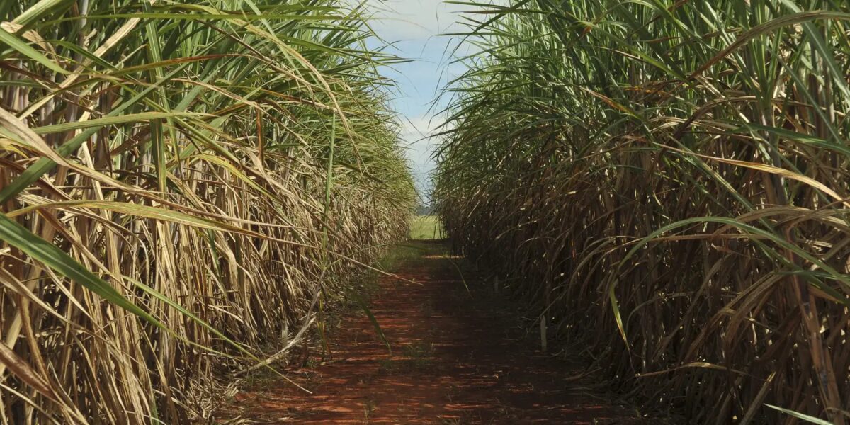 Conselho eleva limite de remuneração do Eco Invest Brasil
