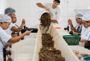 Consulta sobre bens sustentáveis no acordo Mercosul–UE acaba na quarta