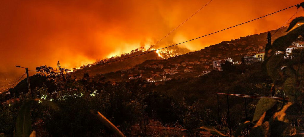 Crise climática global eleva mortalidade e ameaça segurança alimentar em 2026