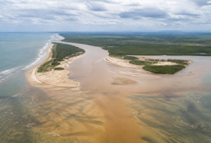 Estudo aponta índice recorde de Deformações em peixes no litoral do Espírito Santo