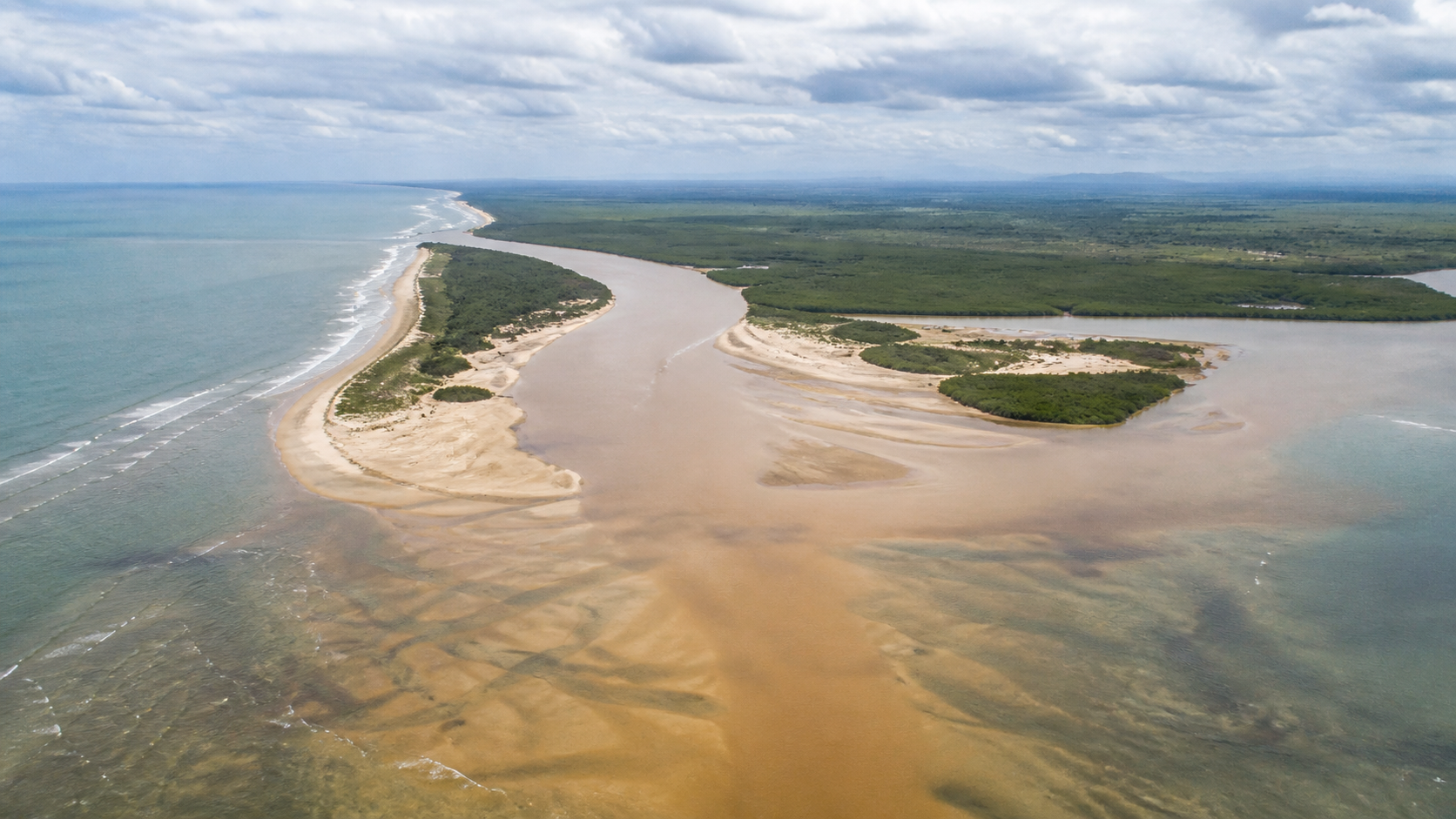 Estudo aponta índice recorde de Deformações em peixes no litoral do Espírito Santo