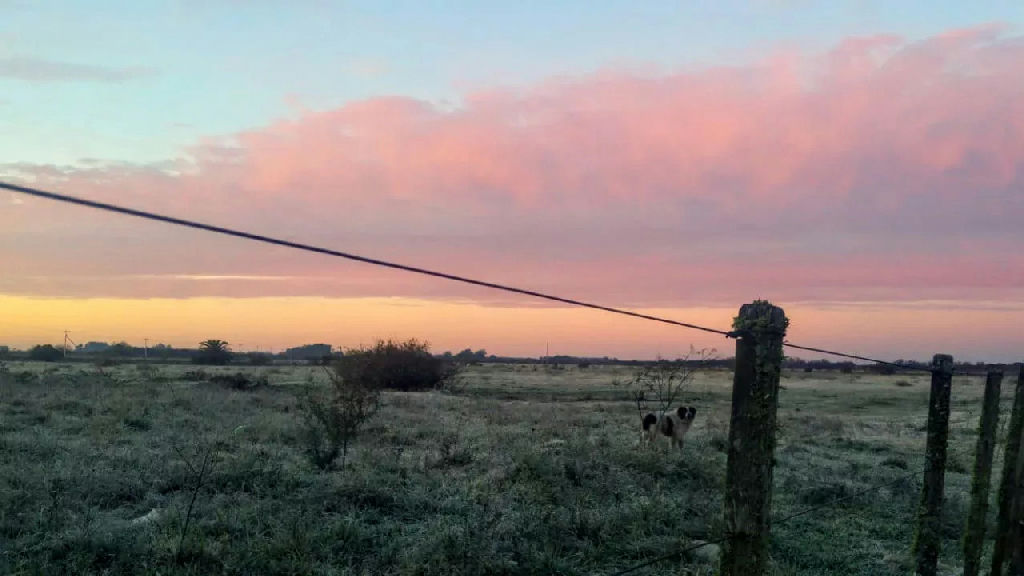 Frio e vendavais atingem o Rio Grande do Sul a partir desta sexta-feira