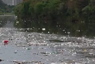 Grande volume de lixo flutuando no rio Pinheiros chama atenção após forte chuva em SP