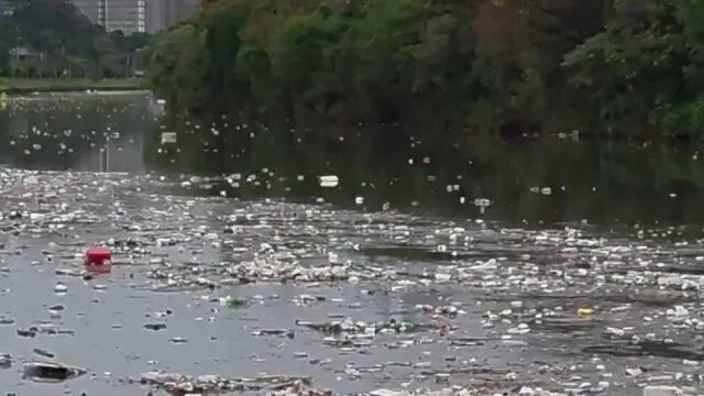 Grande volume de lixo flutuando no rio Pinheiros chama atenção após forte chuva em SP