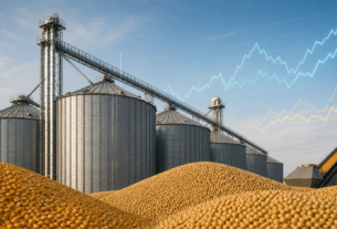 Índice de commodities do Banco Central recua em julho apesar da valorização do agro