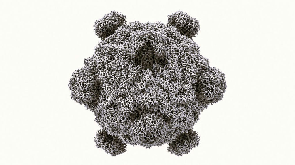 Inteligência artificial projeta genomas inéditos para combater superbactérias