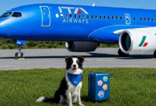 ITA Airways permite cães de até 30 kg na cabine em voos domésticos na Itália
