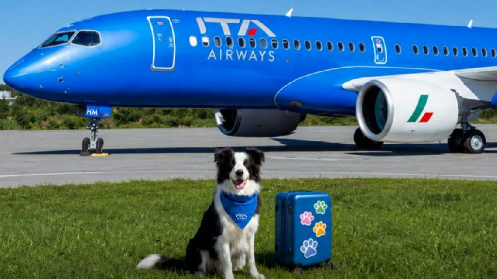 ITA Airways permite cães de até 30 kg na cabine em voos domésticos na Itália