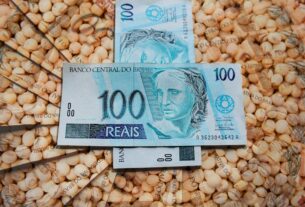 Mercado de soja mantém cautela com poucos negócios e oscilações no fechamento da semana