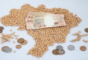 Mercado de soja mantém estabilidade com cautela nas negociações físicas