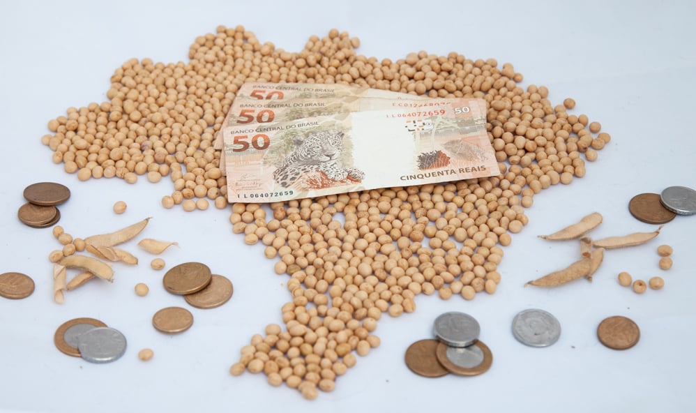 Mercado de soja mantém estabilidade com cautela nas negociações físicas