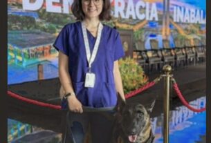 Morre veterinária atacada por cachorro no canil do Senado Federal
